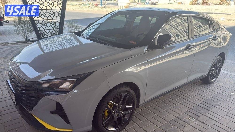 للبيع DFM A30 شرف الفحص بالكامل صبغ الوكاله2