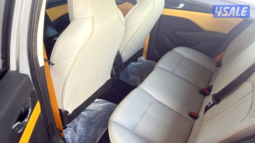 للبيع DFM A30 شرف الفحص بالكامل صبغ الوكاله3