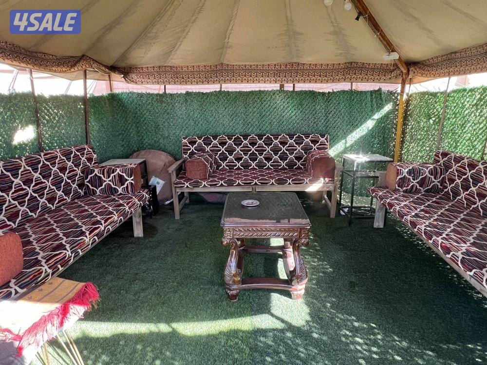 للايجر مخيم1