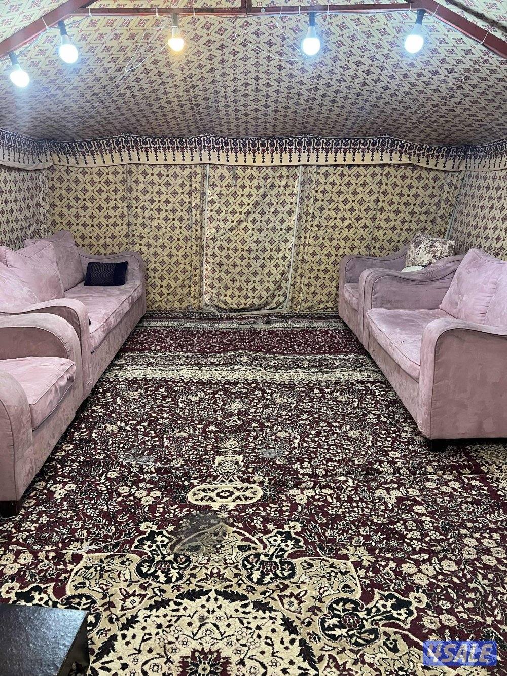 للايجر مخيم8