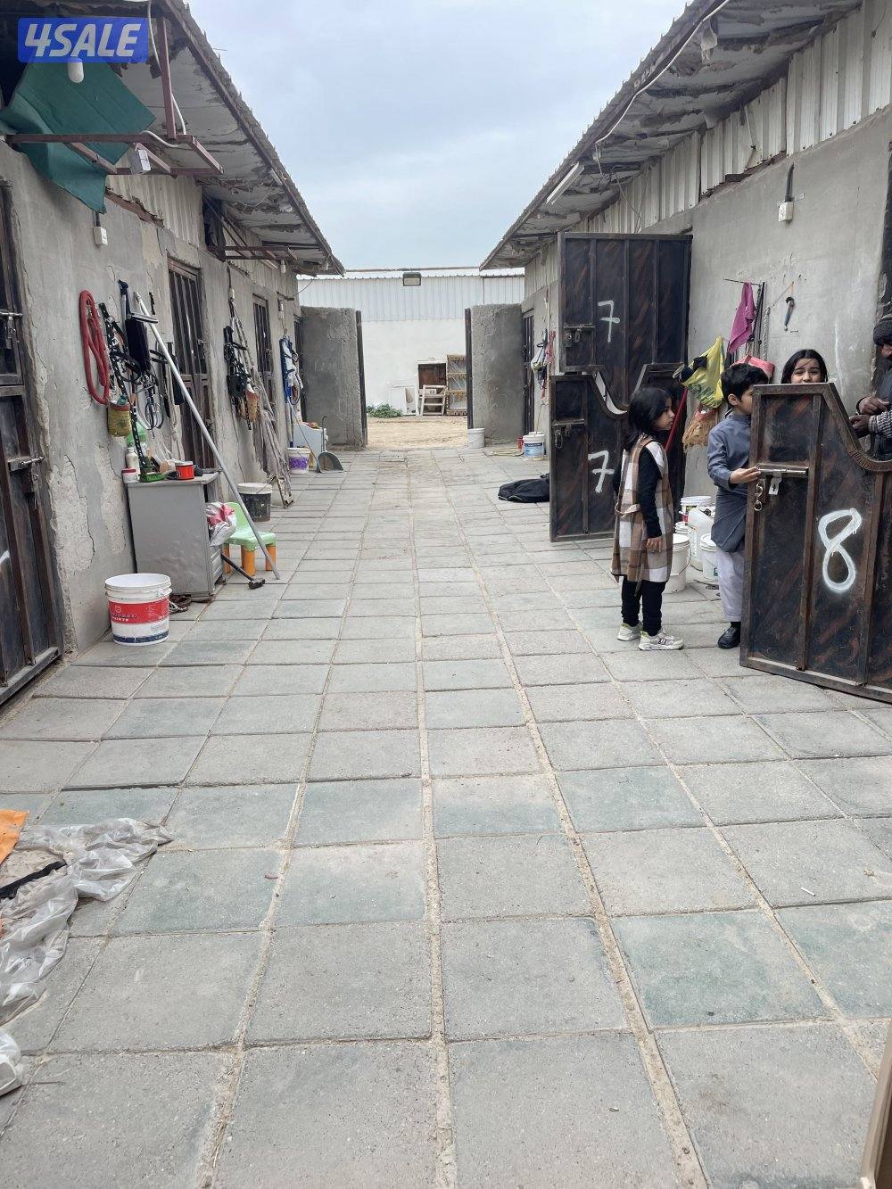 للاجار اسطبل قسمين بدون كهرباء0