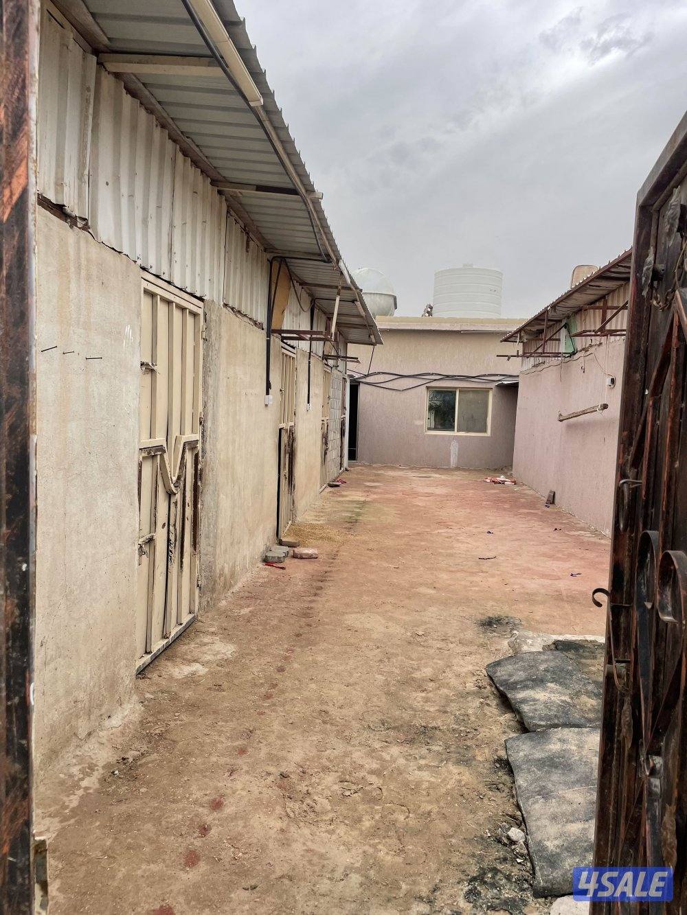 للاجار اسطبل قسمين بدون كهرباء5