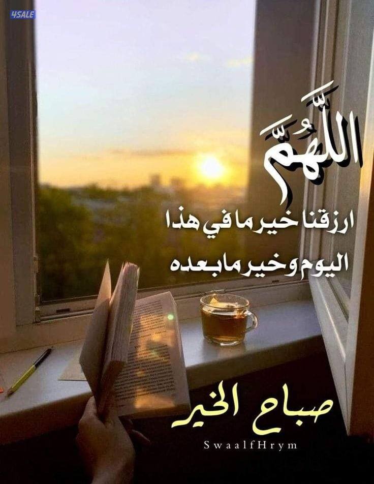 مدرس إسلامية ثانوي ومحفظ قرآن باحكام التجويد0