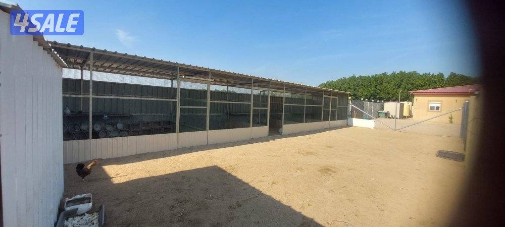 تسوير مزارع العبدلي وابواب سحب سته متر7