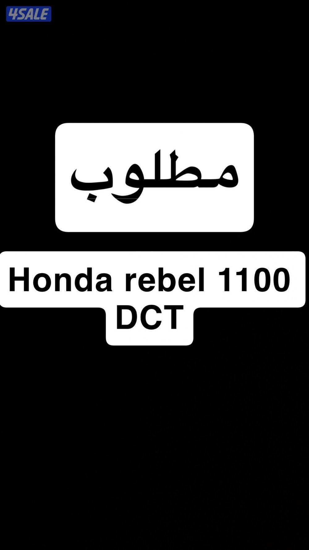 مطلوب هوندا ريبل تماتيك0