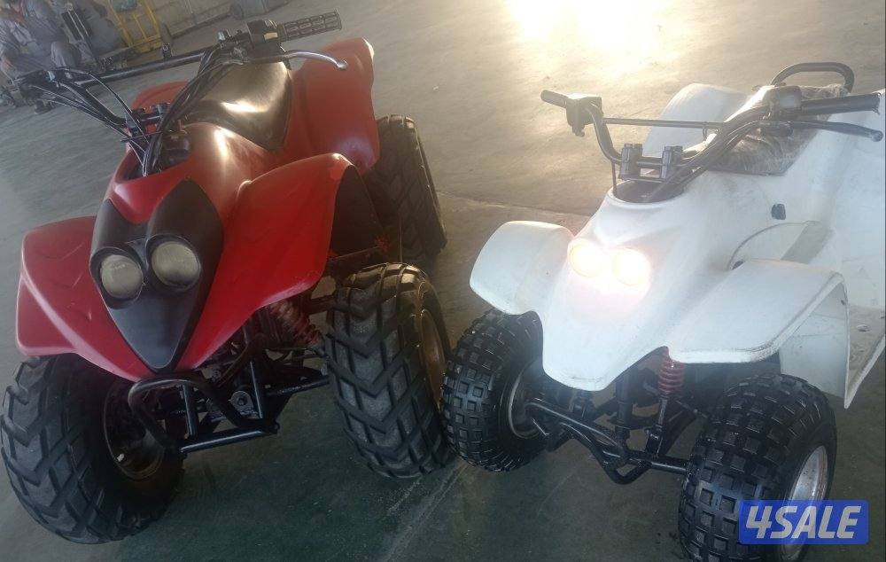 عميرى المنى وايجل اصليين0