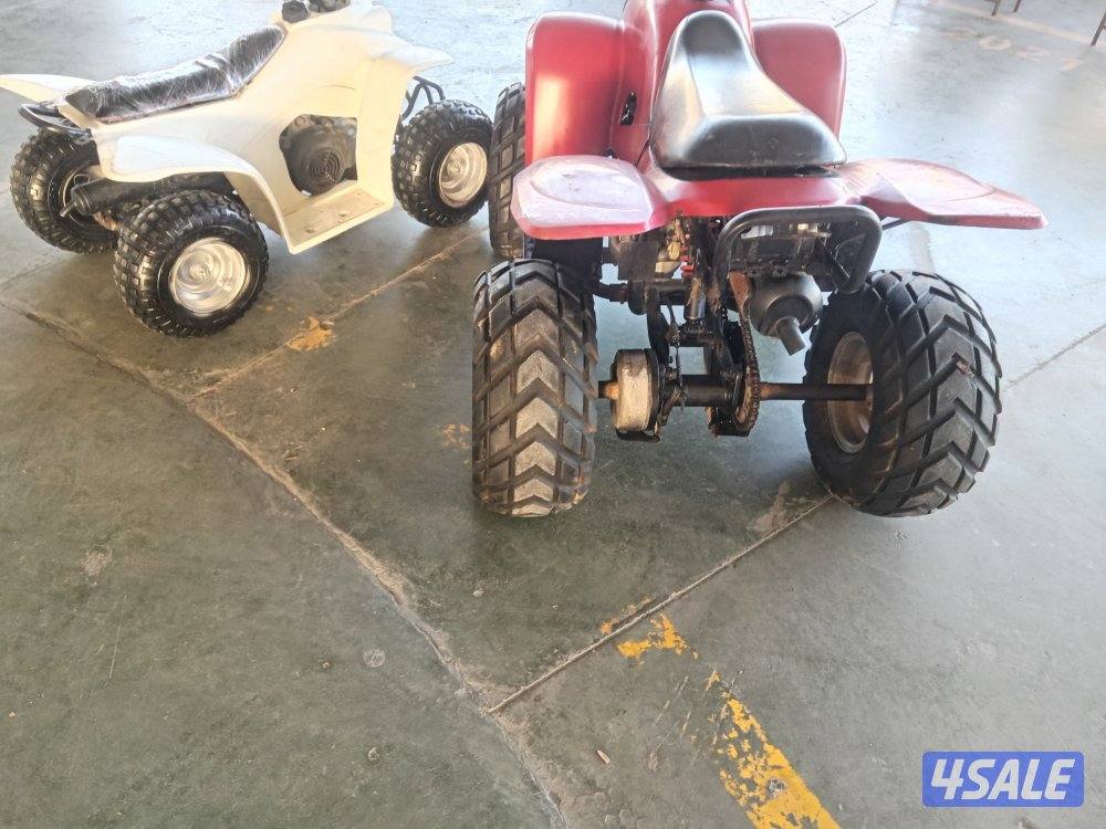 عميرى المنى وايجل اصليين3