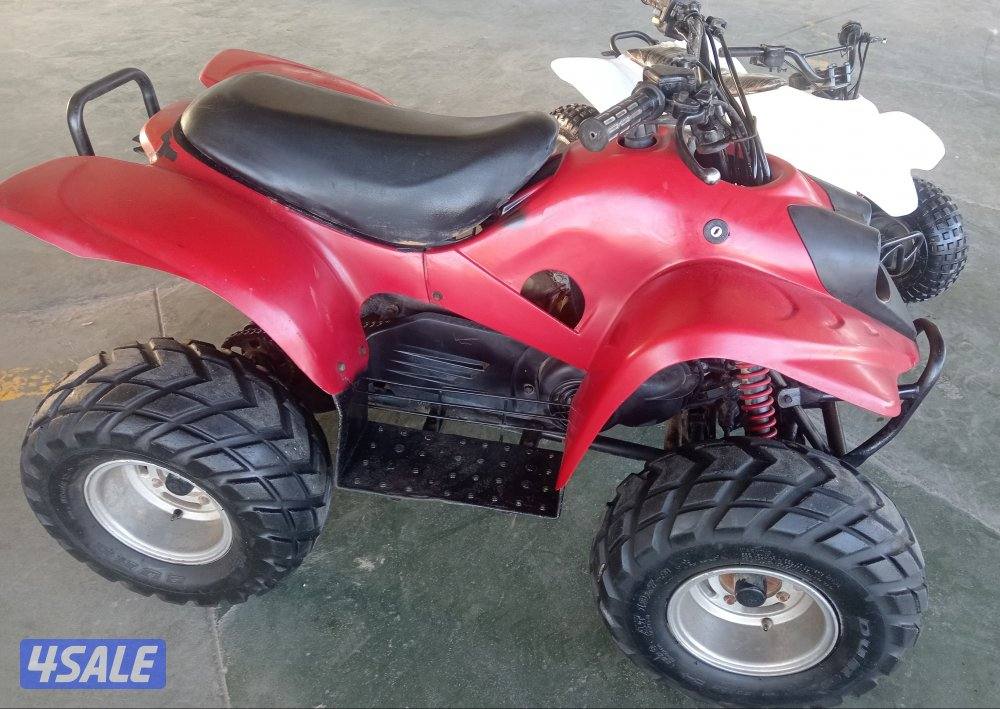 عميرى المنى وايجل اصليين4