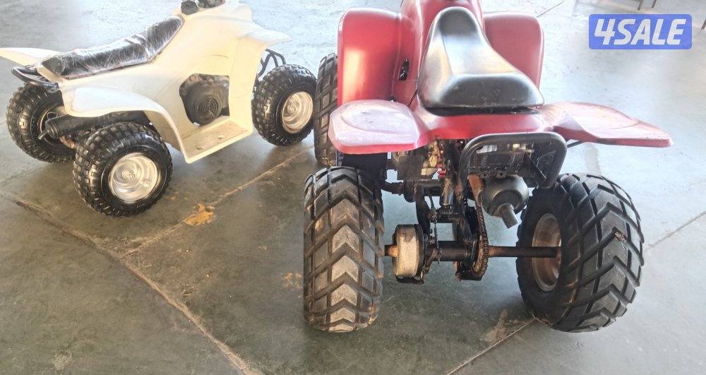 عميرى المنى وايجل اصليين6