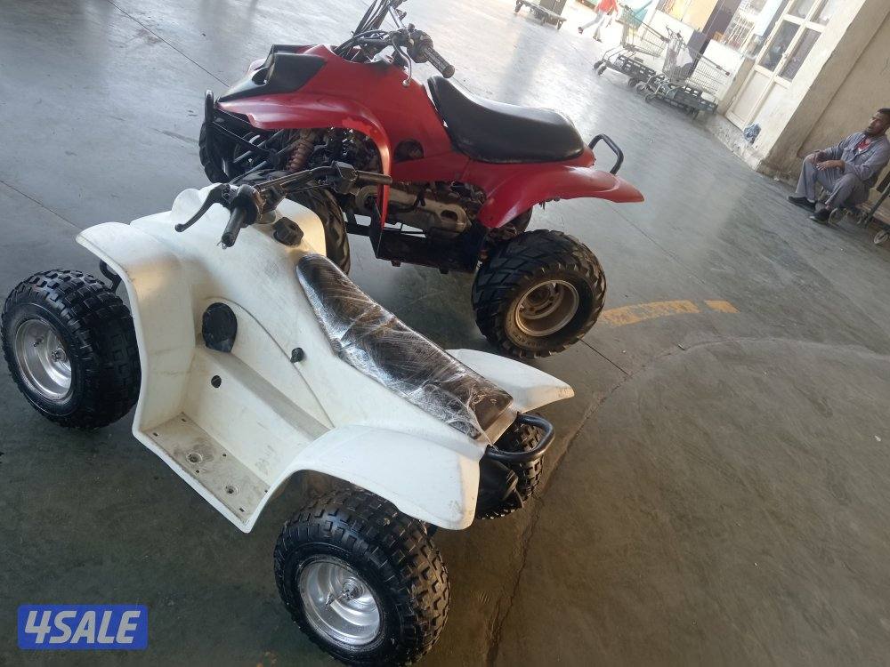 عميرى المنى وايجل اصليين7