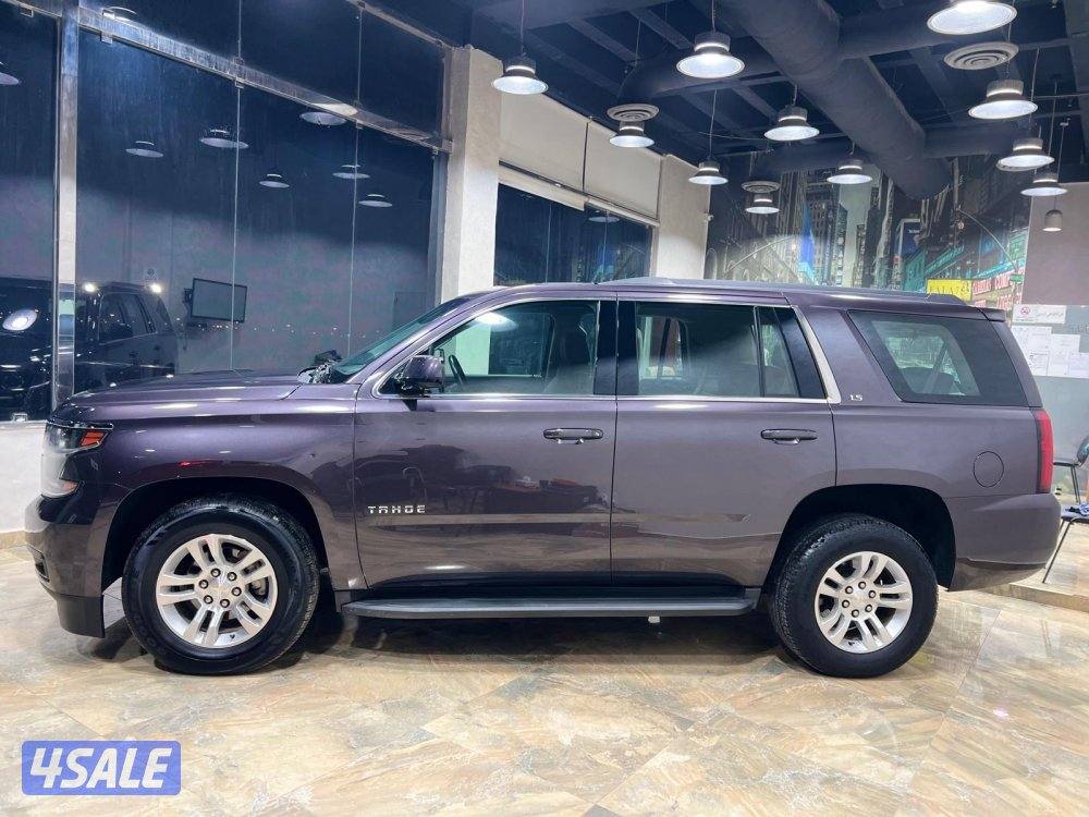 🚩 مــعــرض الــلـــورد 🚩1