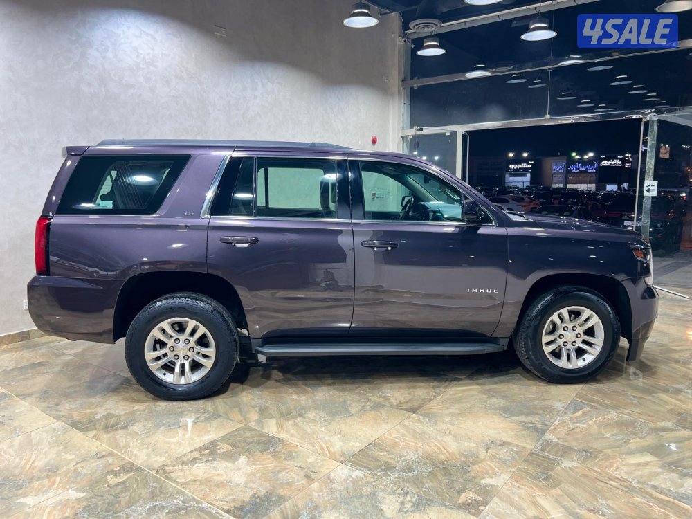 🚩 مــعــرض الــلـــورد 🚩4