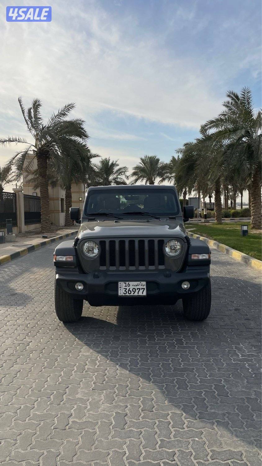 للمعاينة العارضية الحرفية1