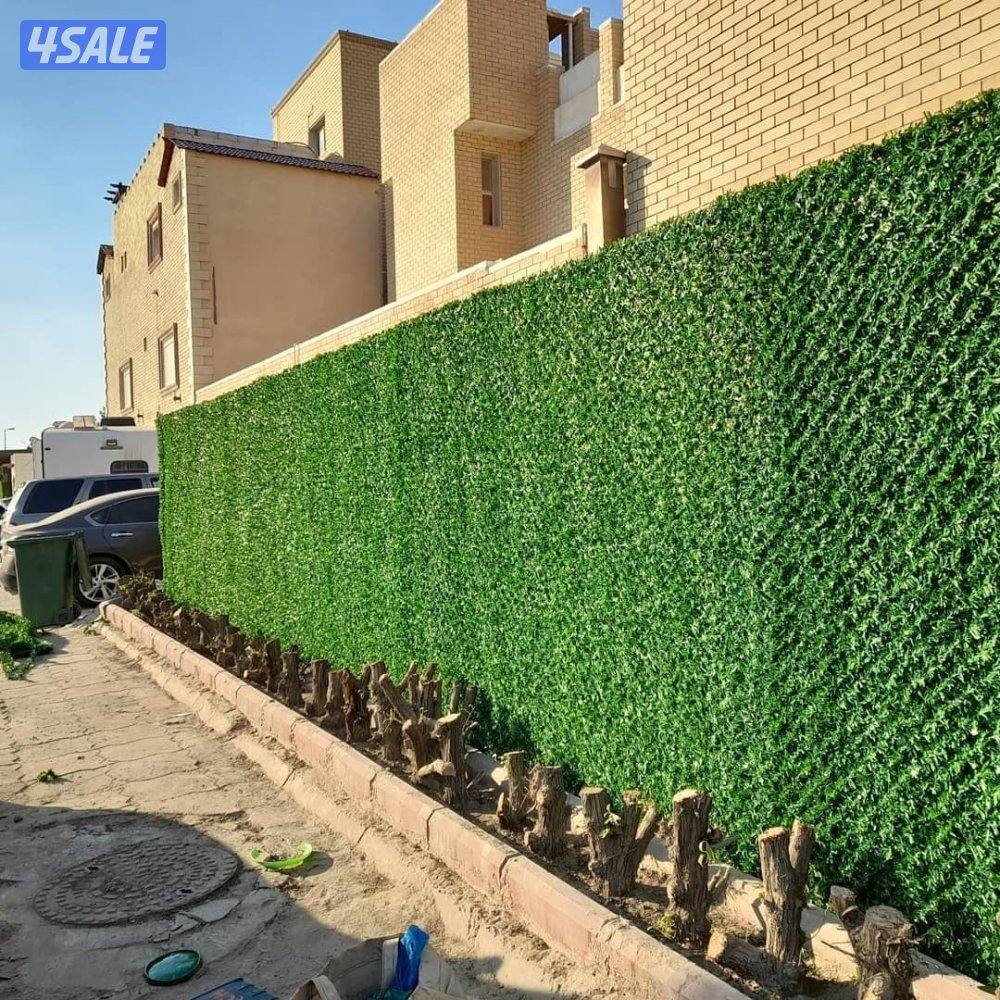 مضلات  البلوشی10