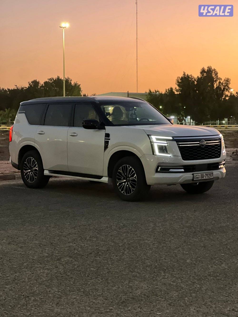 باترول بلاتينيوم موديل 2025  حمايه فل بدي تامين شامل1