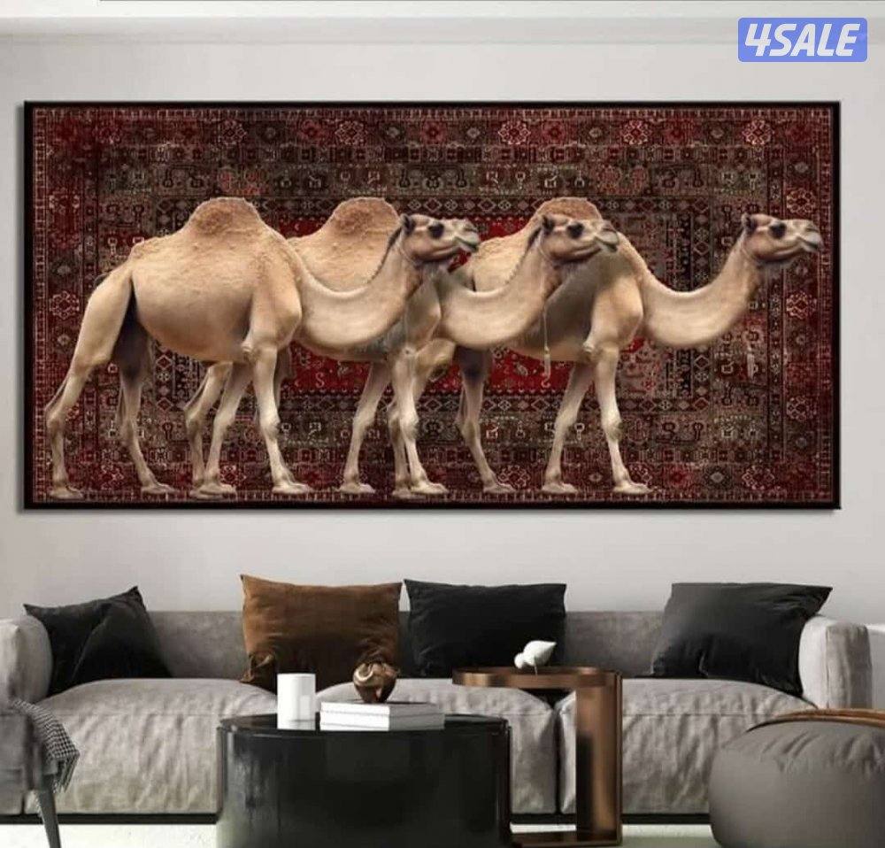 دوار مرقاب15