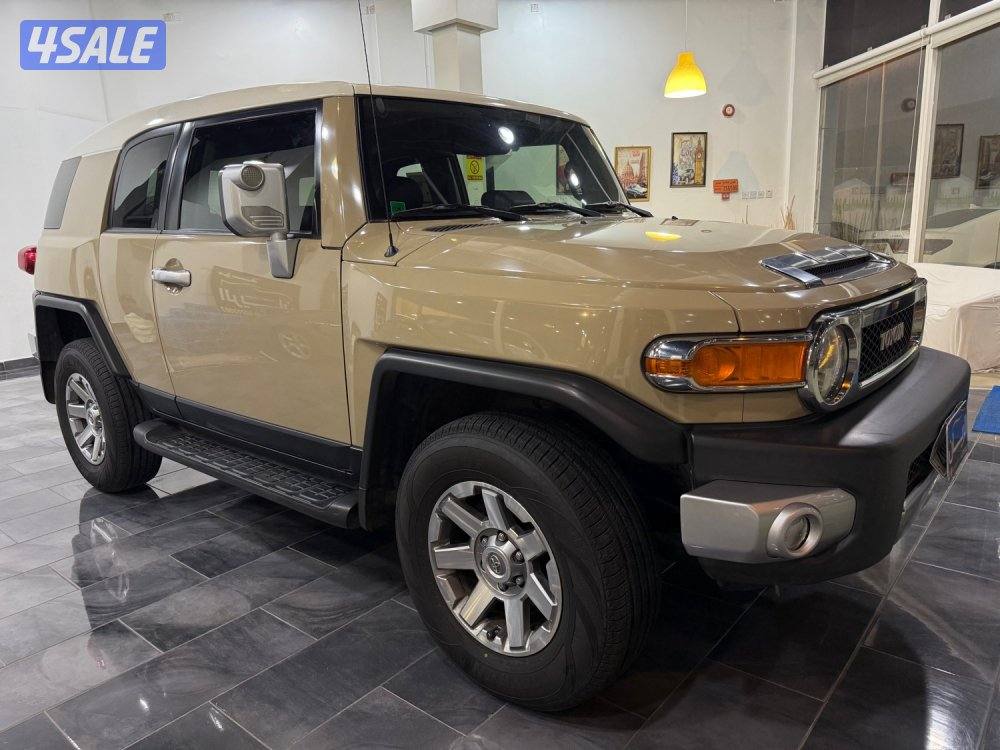 الساير Fj صبغ وكالة شرط الفحص1