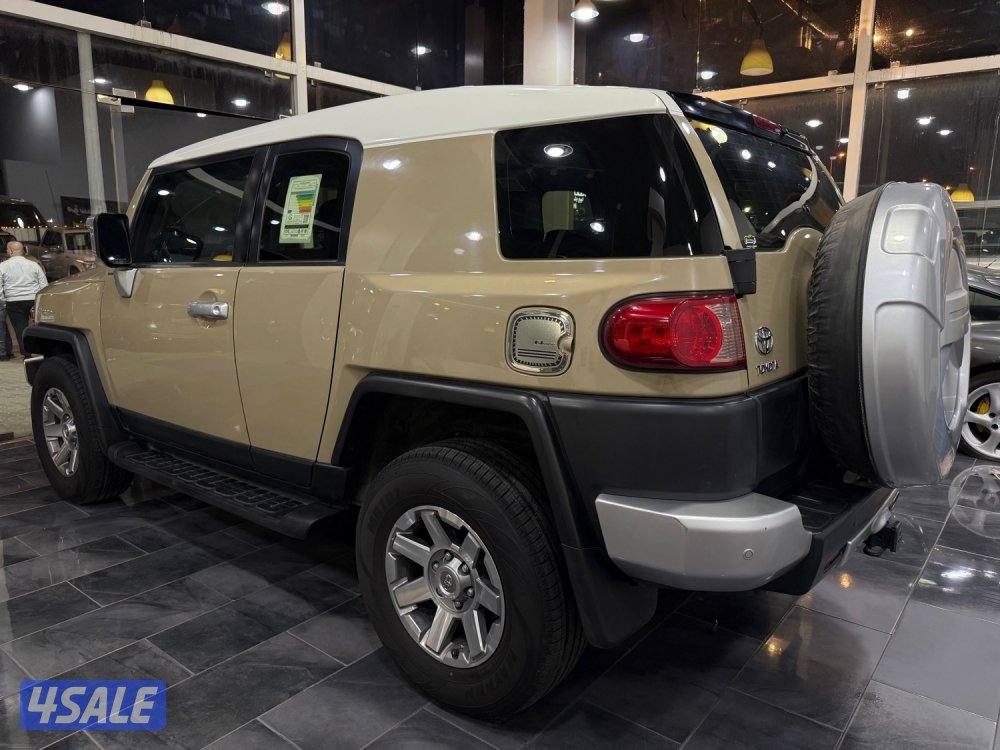 الساير Fj صبغ وكالة شرط الفحص2