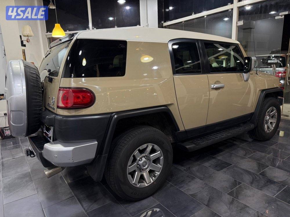 الساير Fj صبغ وكالة شرط الفحص3