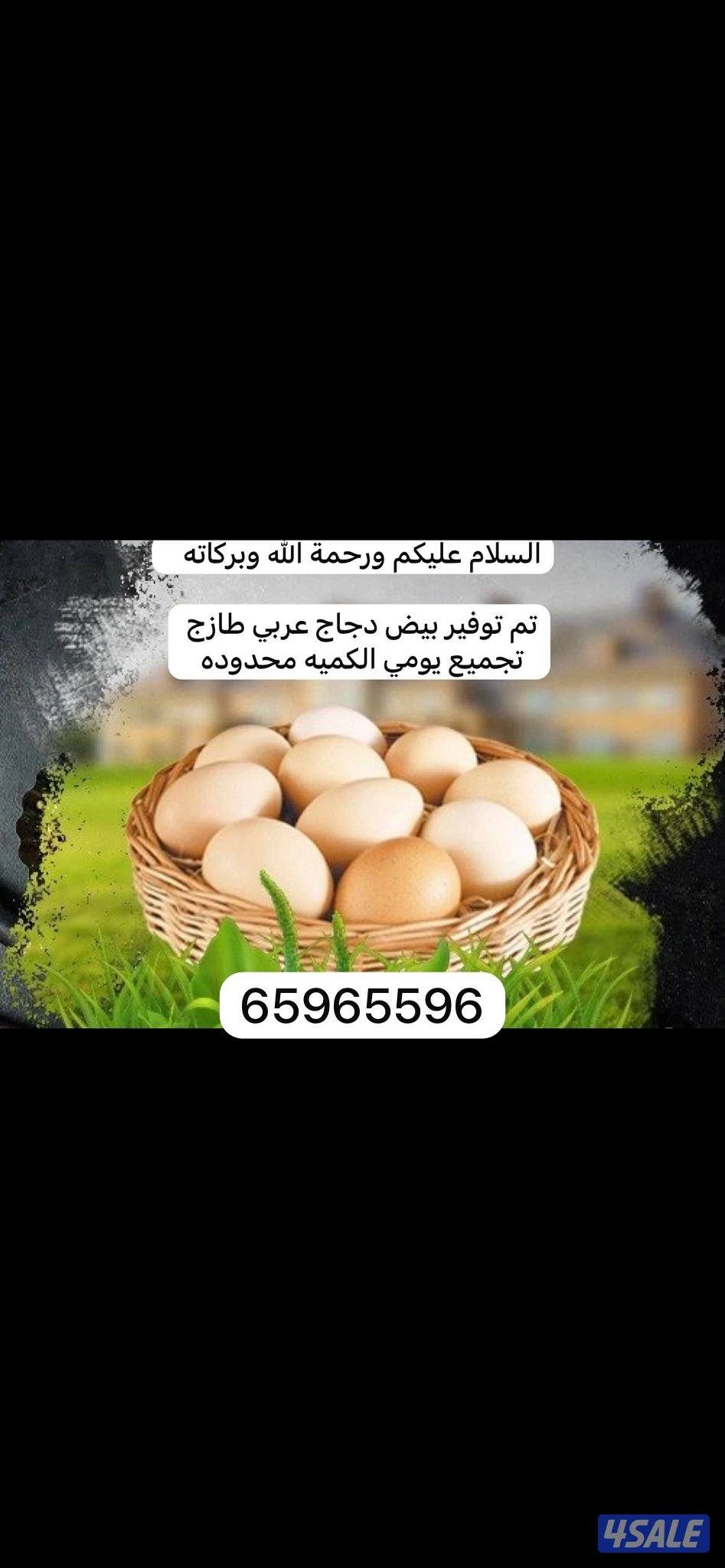 للبيع بيض دجاج عربي0