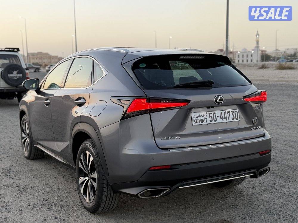 جيب لكزس 2018 الفل Nx300 اف سبورت6