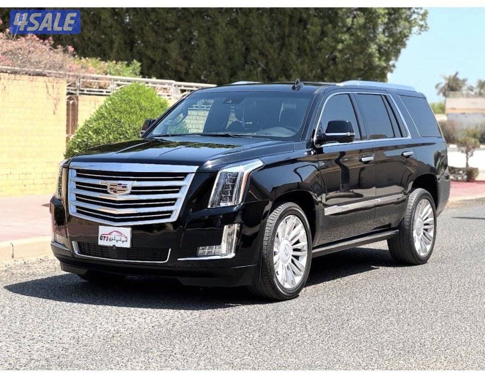 بلاتينيوم ٢٠١٦1