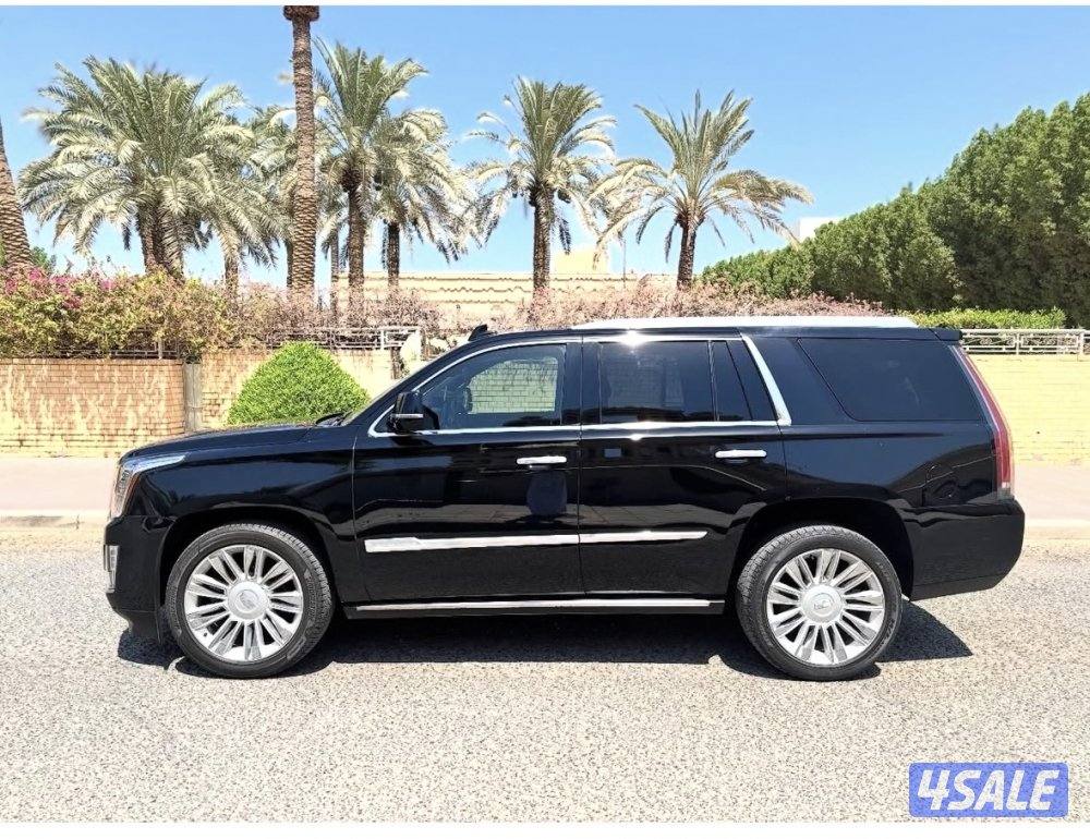 بلاتينيوم ٢٠١٦5