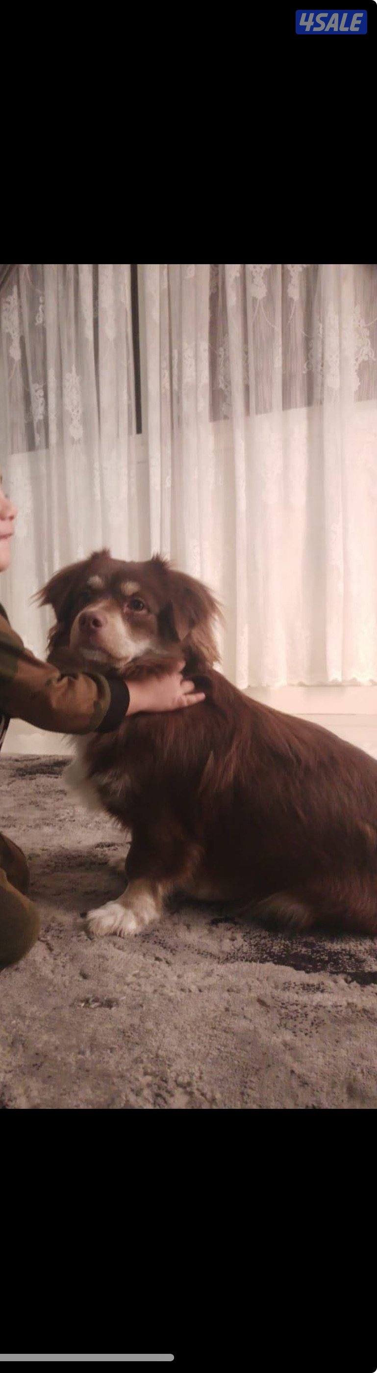 مكس جيواوه - حبوبين يحبون لعب - هادين0