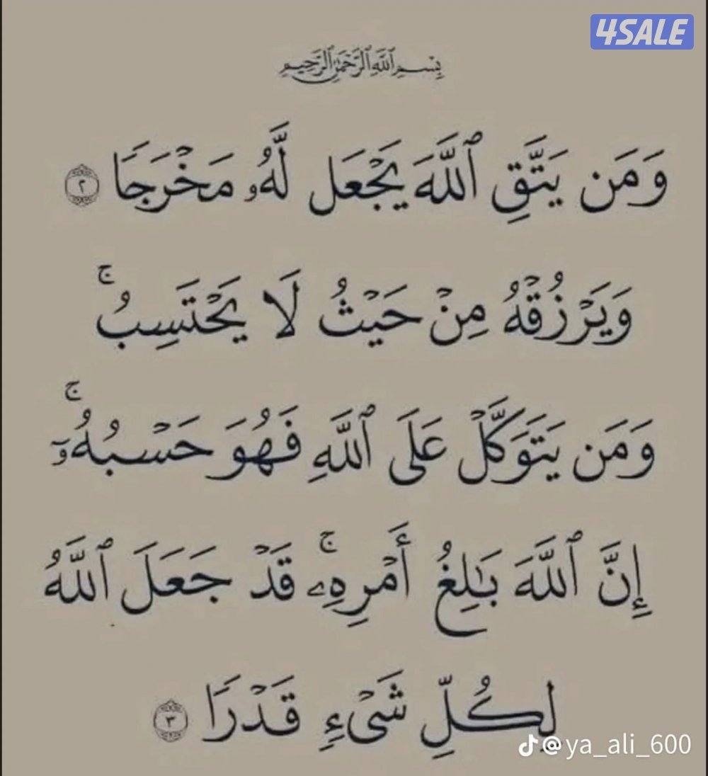 فيلا في حطين و الزهراء و بيان قطعه١٣0
