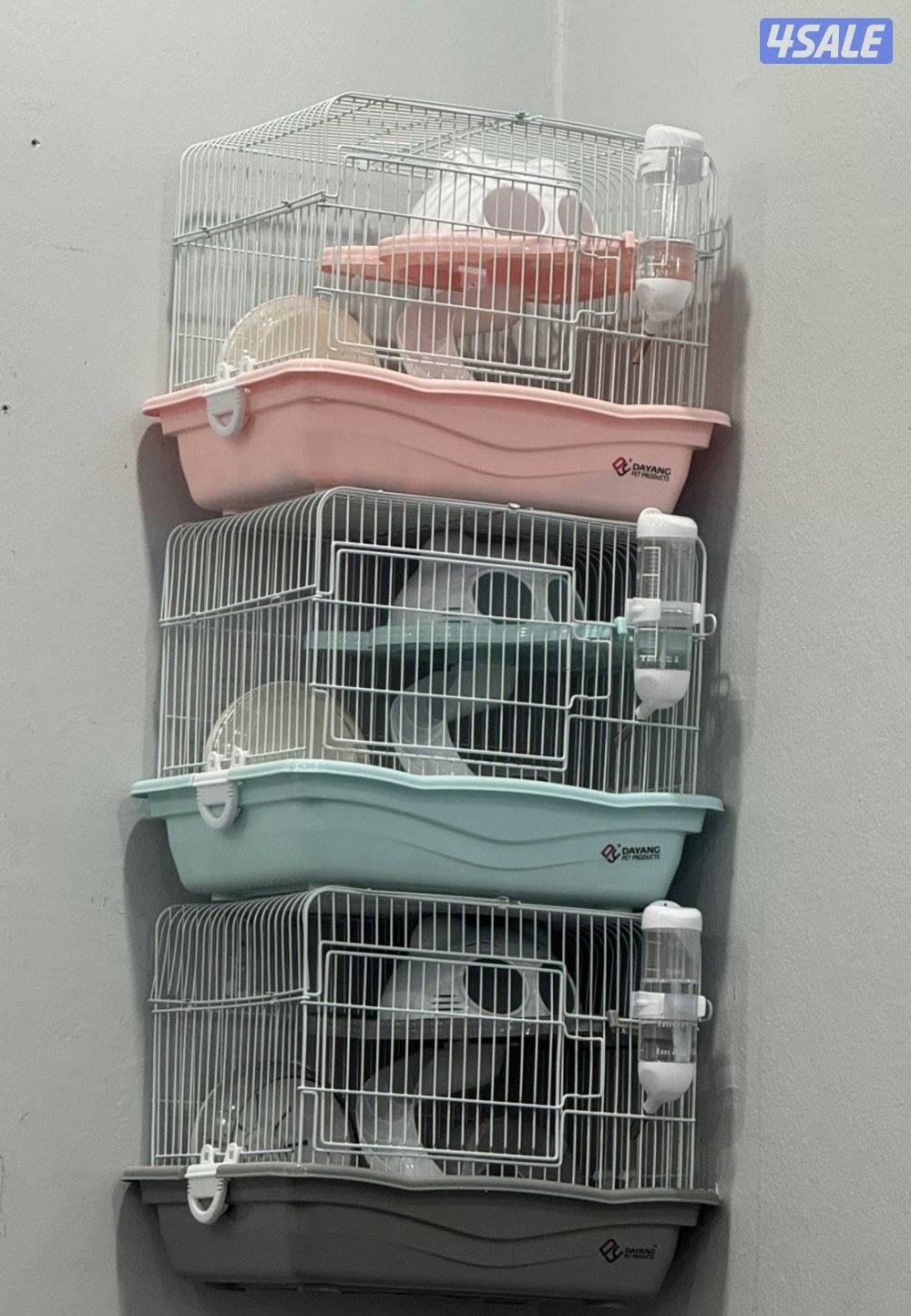 هامستر سوري & روسي 🐹💕 & Syrian Russian Hamster7