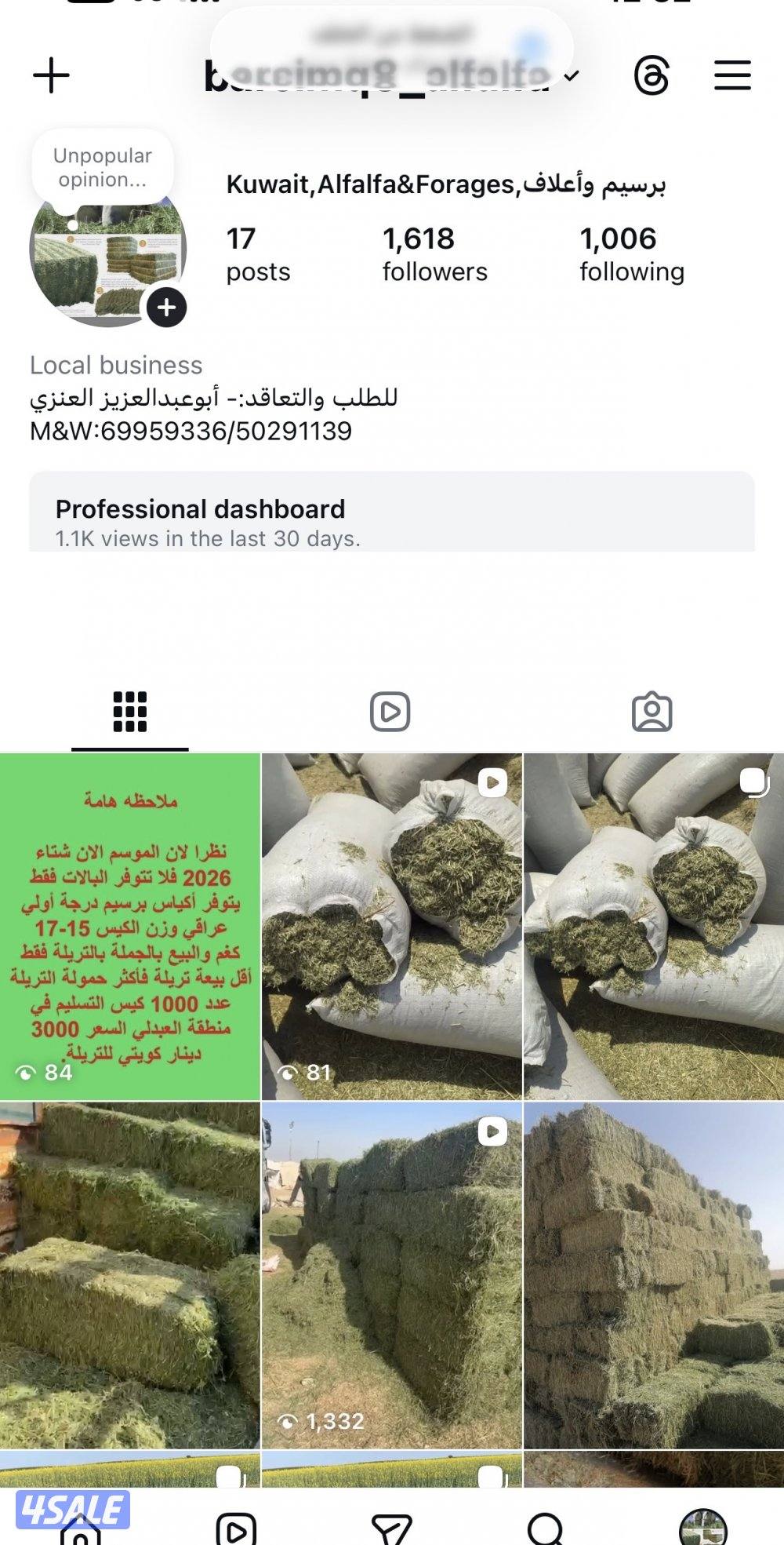 برسيم عراقي أكياس0