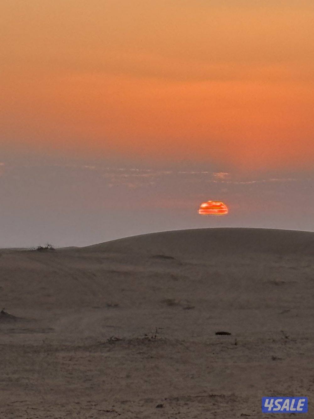 طلبي شهر 3/20070