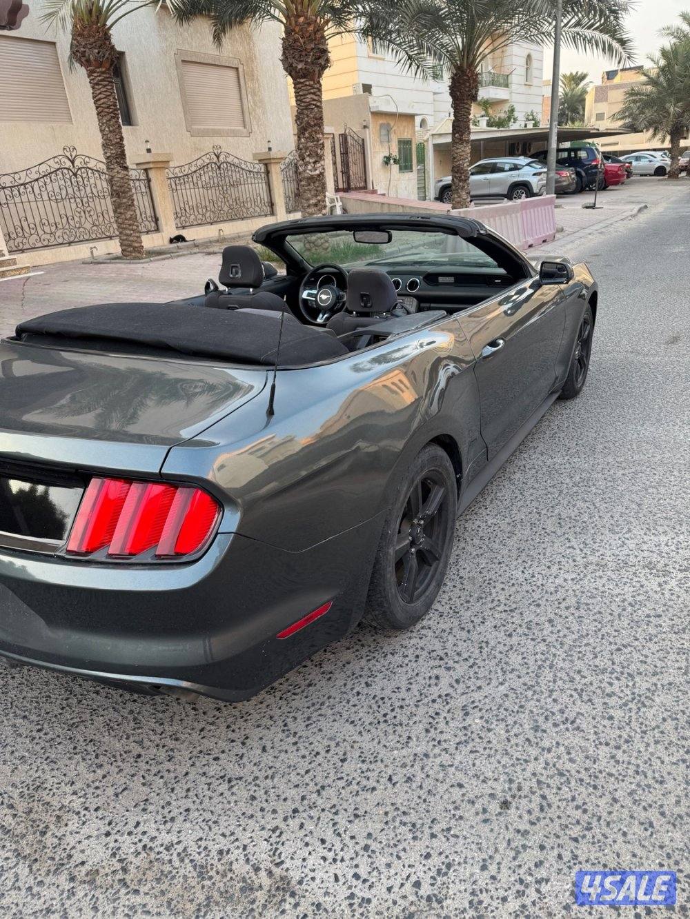 للبيع موستنغ 20163