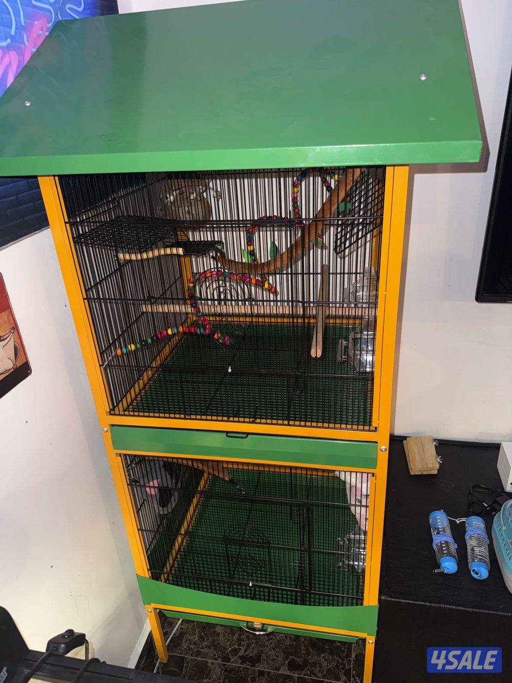 قفص خانتين1