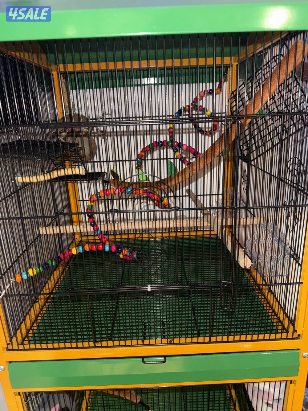 قفص خانتين2