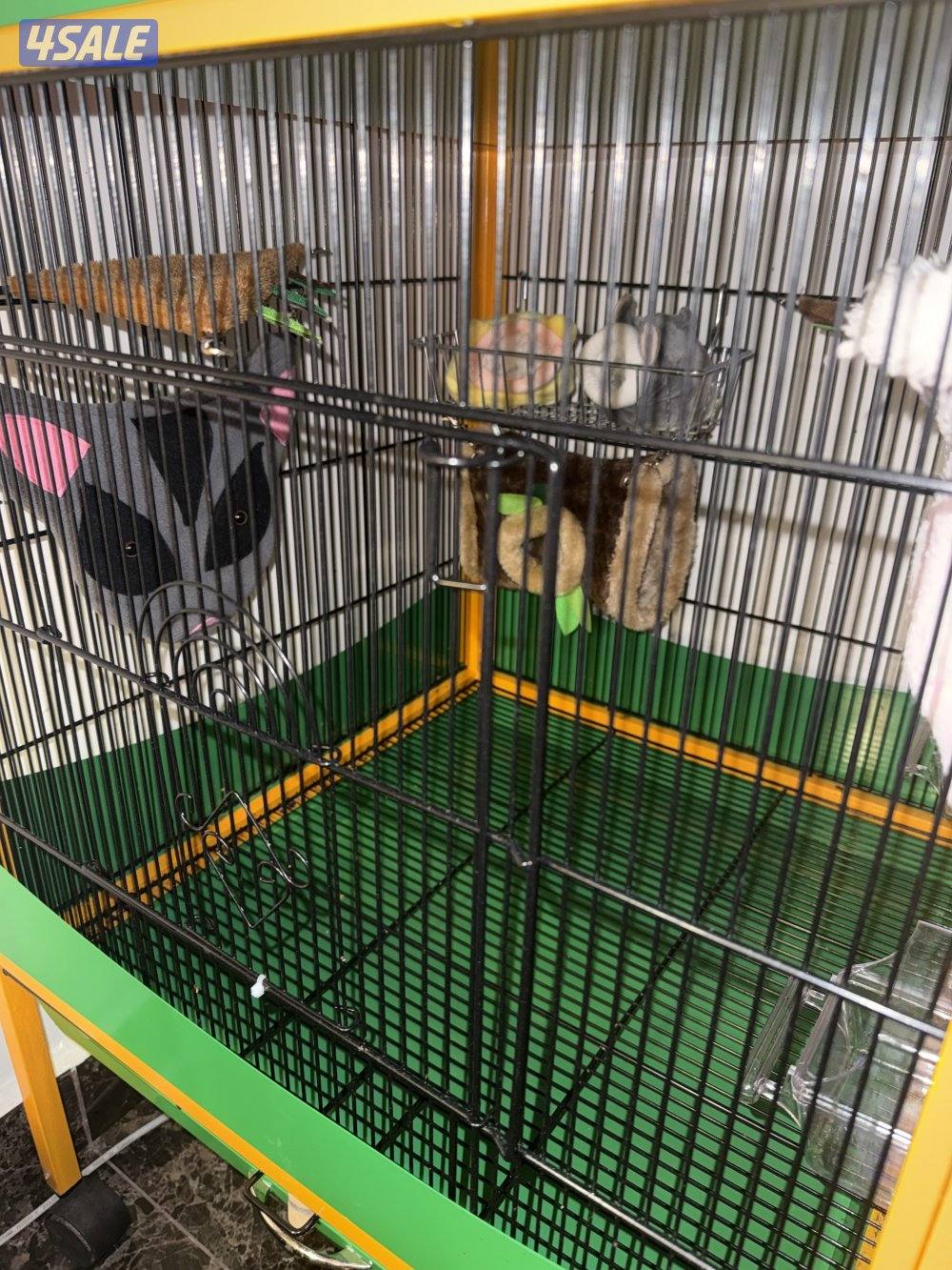 قفص خانتين4