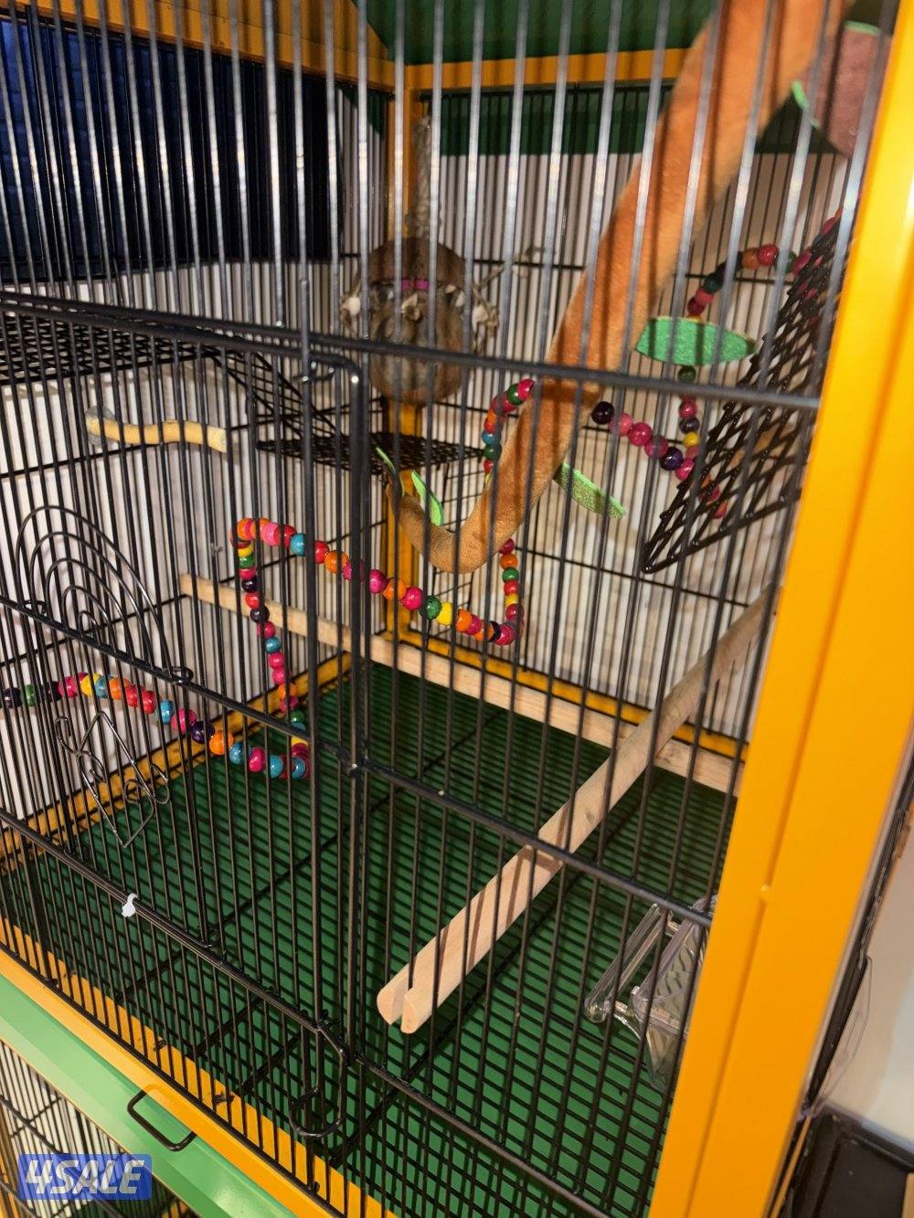 قفص خانتين5