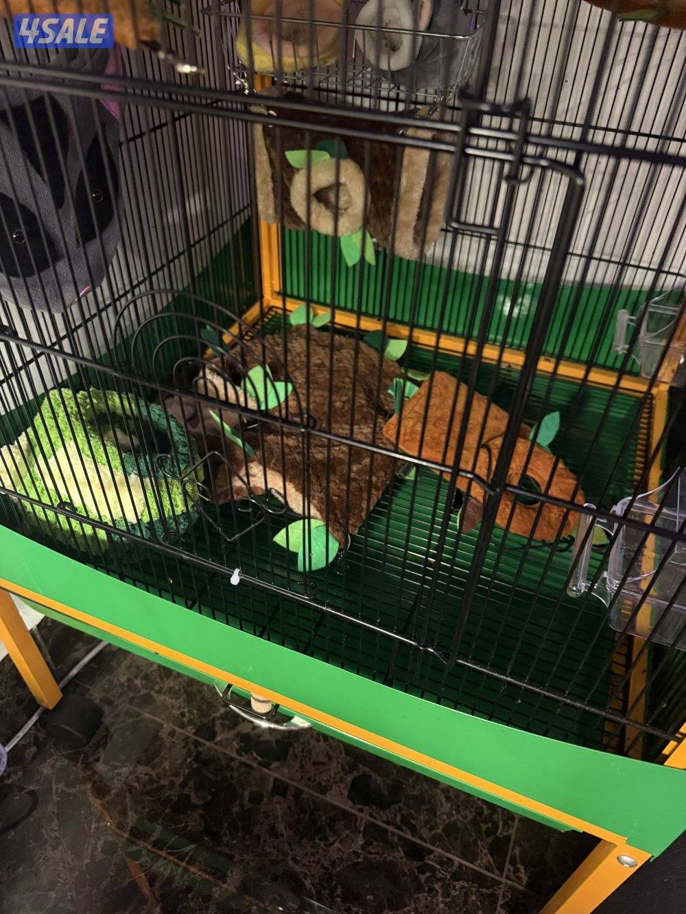 قفص خانتين6