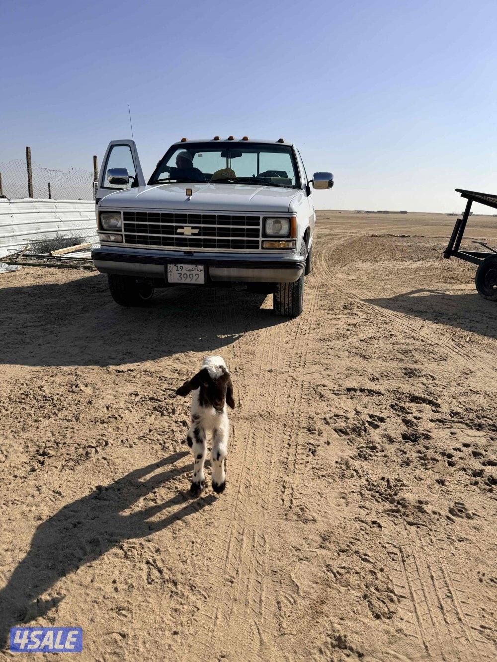 وانيت ١٩٩٢ تم تجديد السياره كل القطع gm3