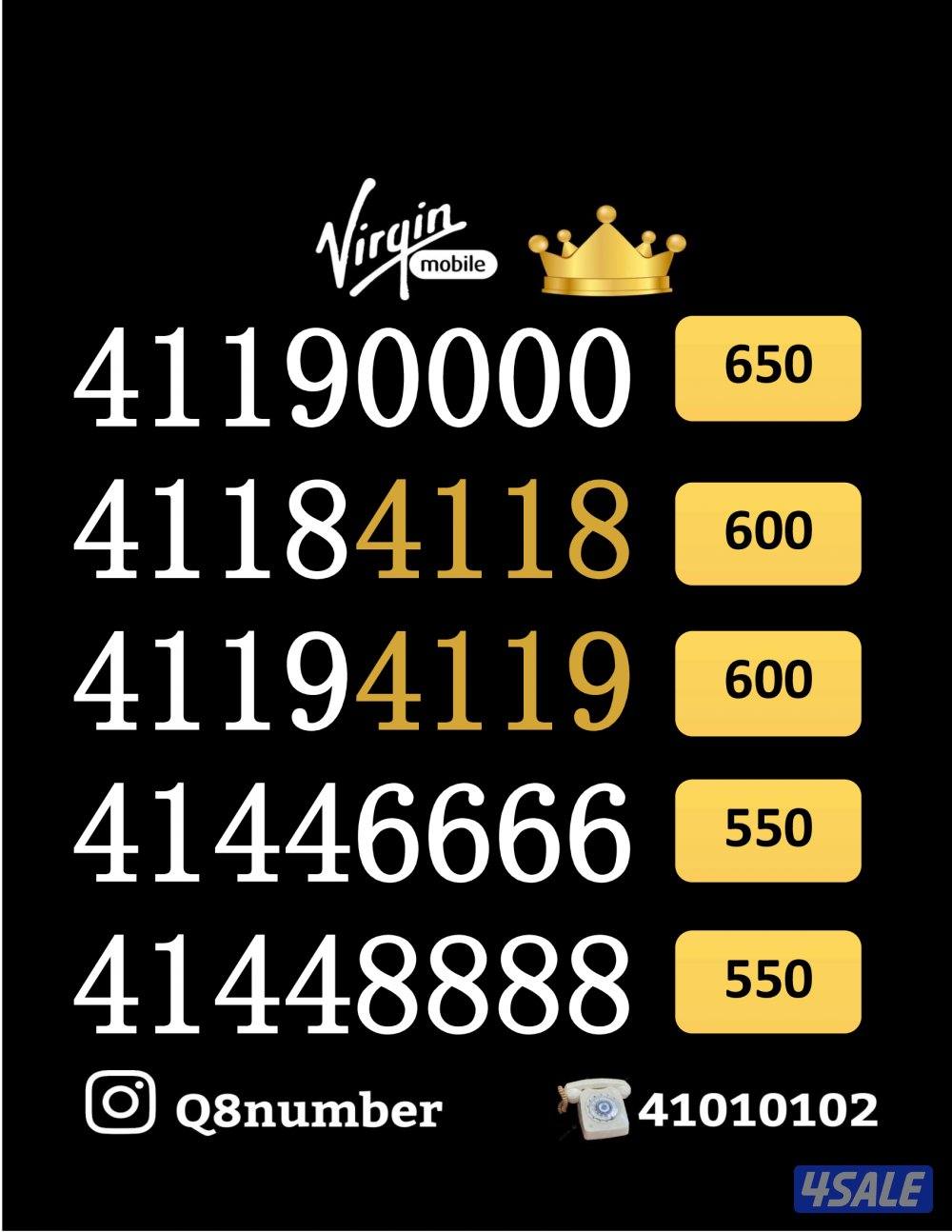 شاهد الصور12