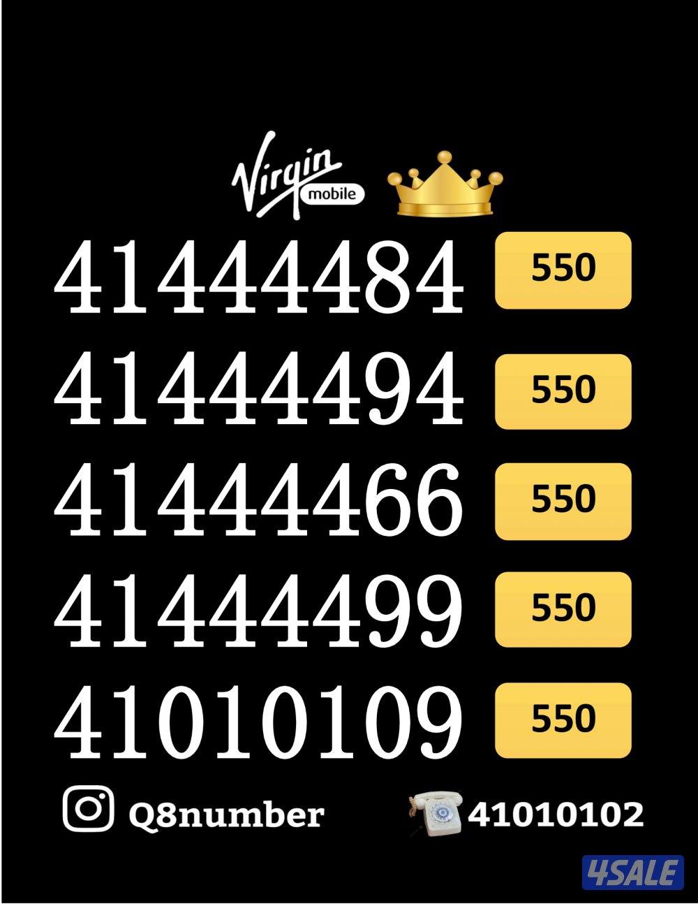 شاهد الصور14