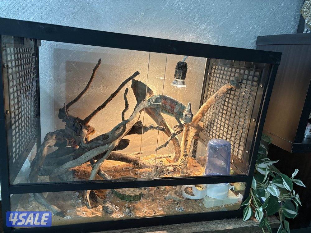 جابر الاحمد1