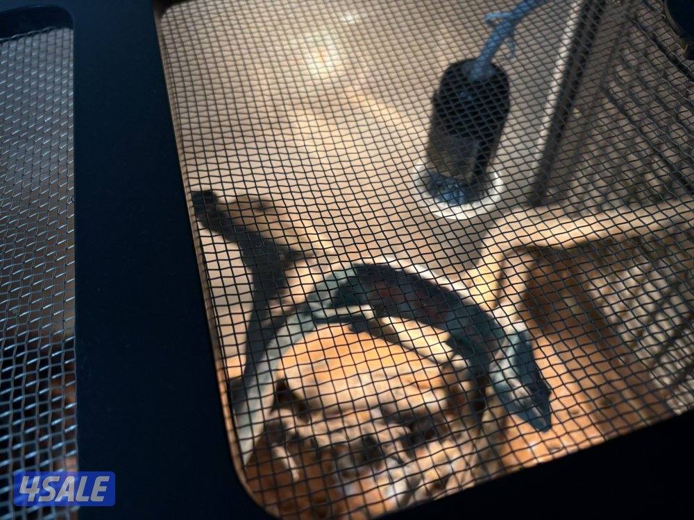 جابر الاحمد2