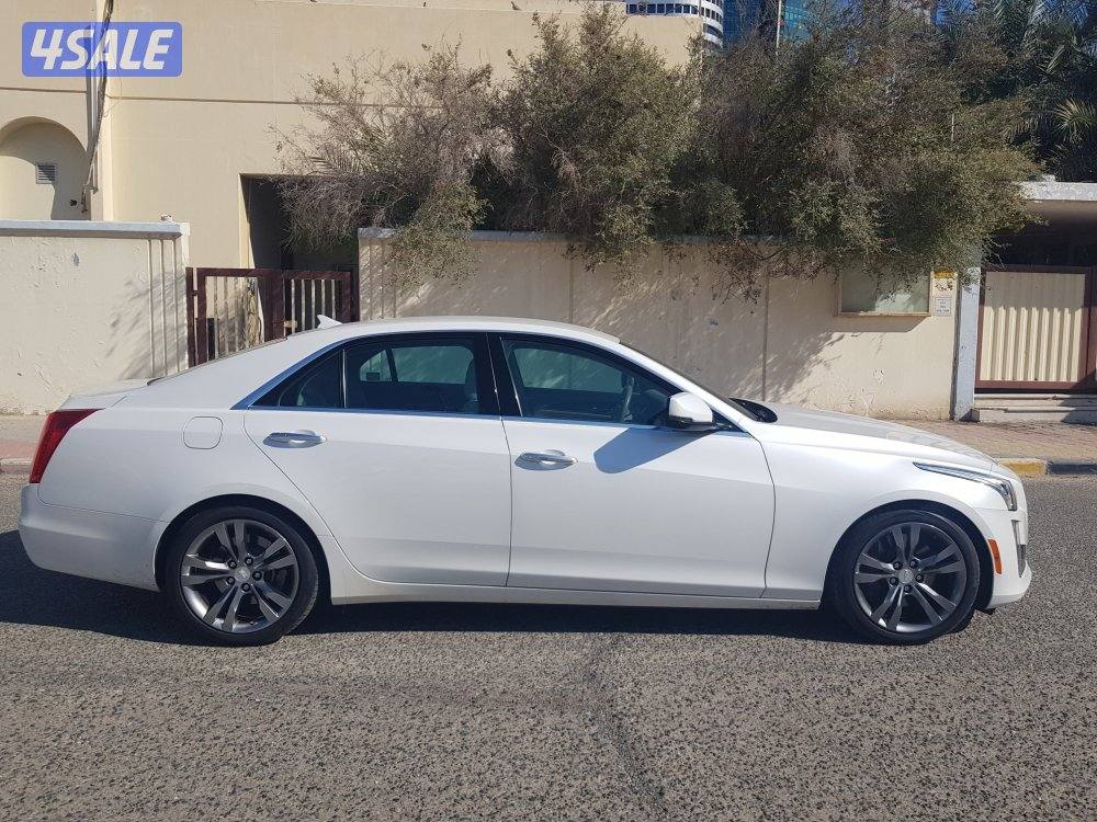 الشرق شارع خالد بن الوليد1