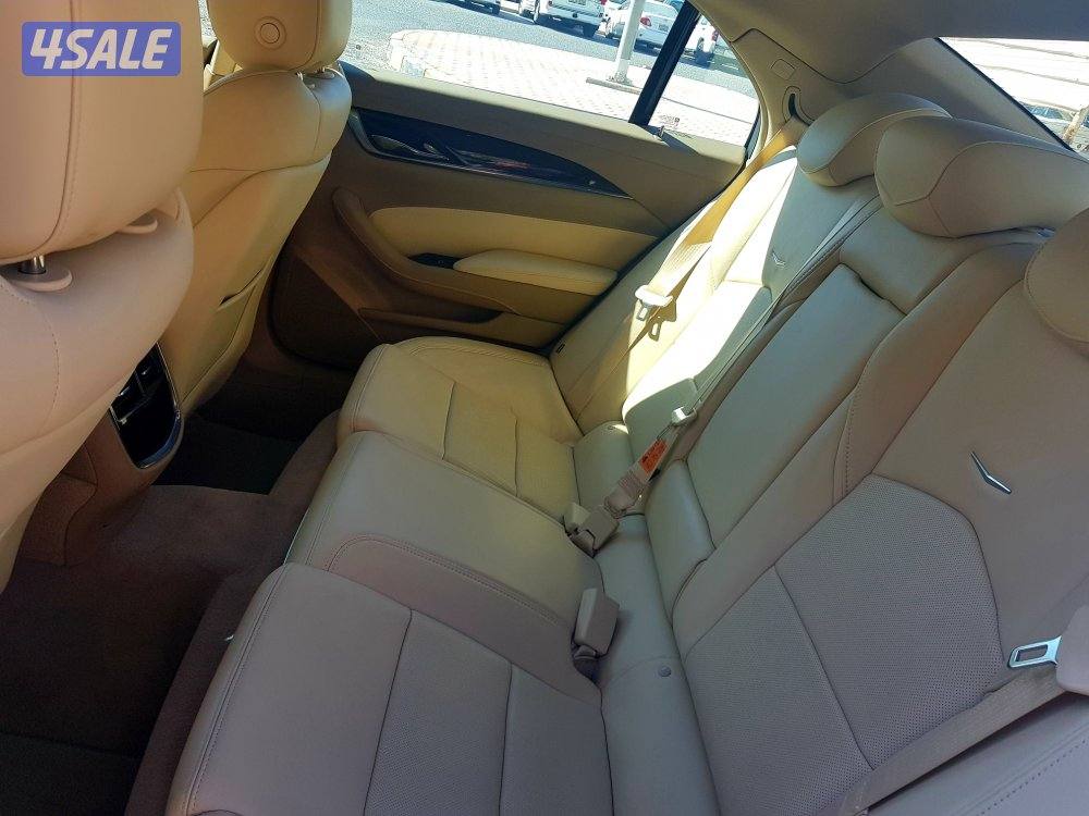 الشرق شارع خالد بن الوليد5