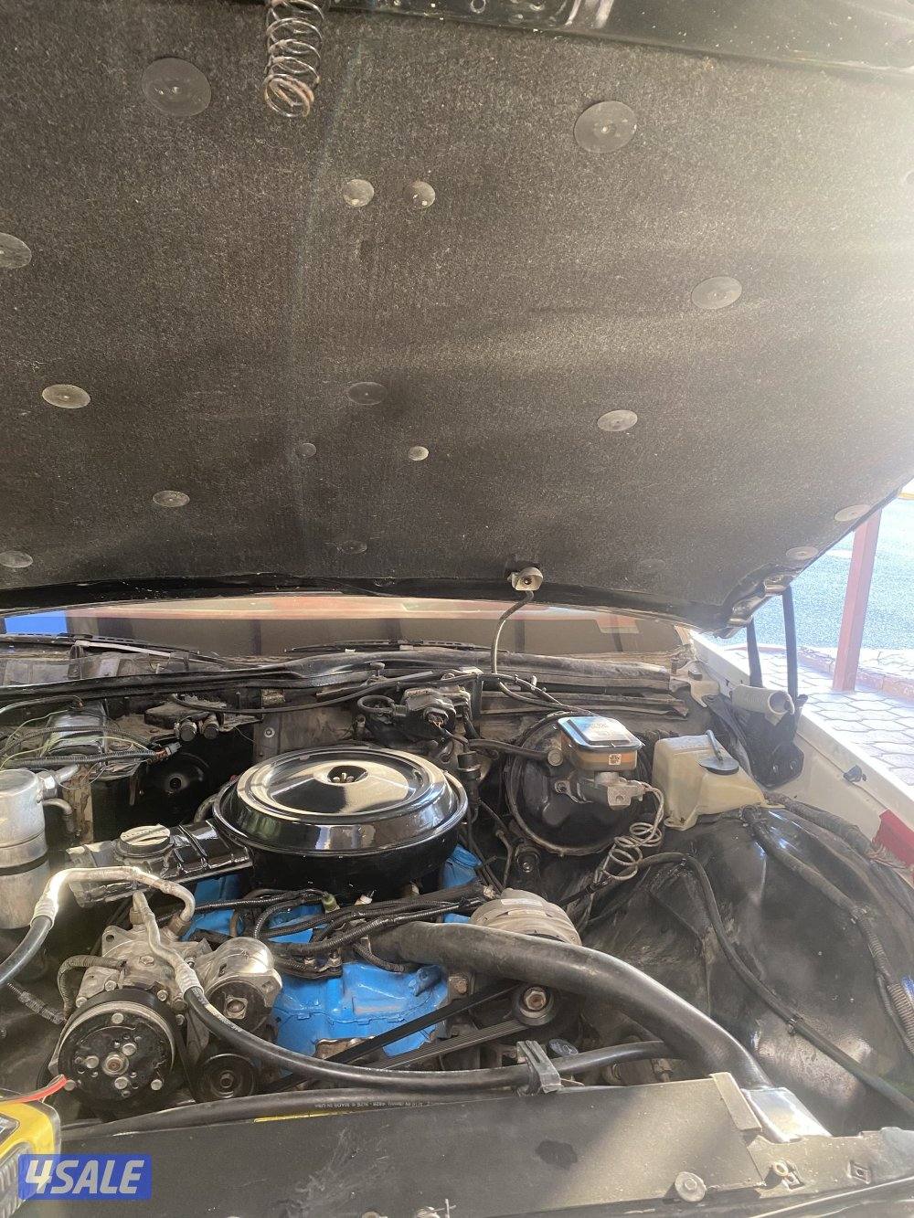 البيع كابرس 19796