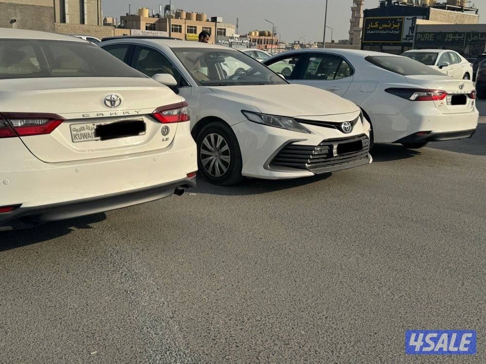 جملة ولا مفرد موديل 20220