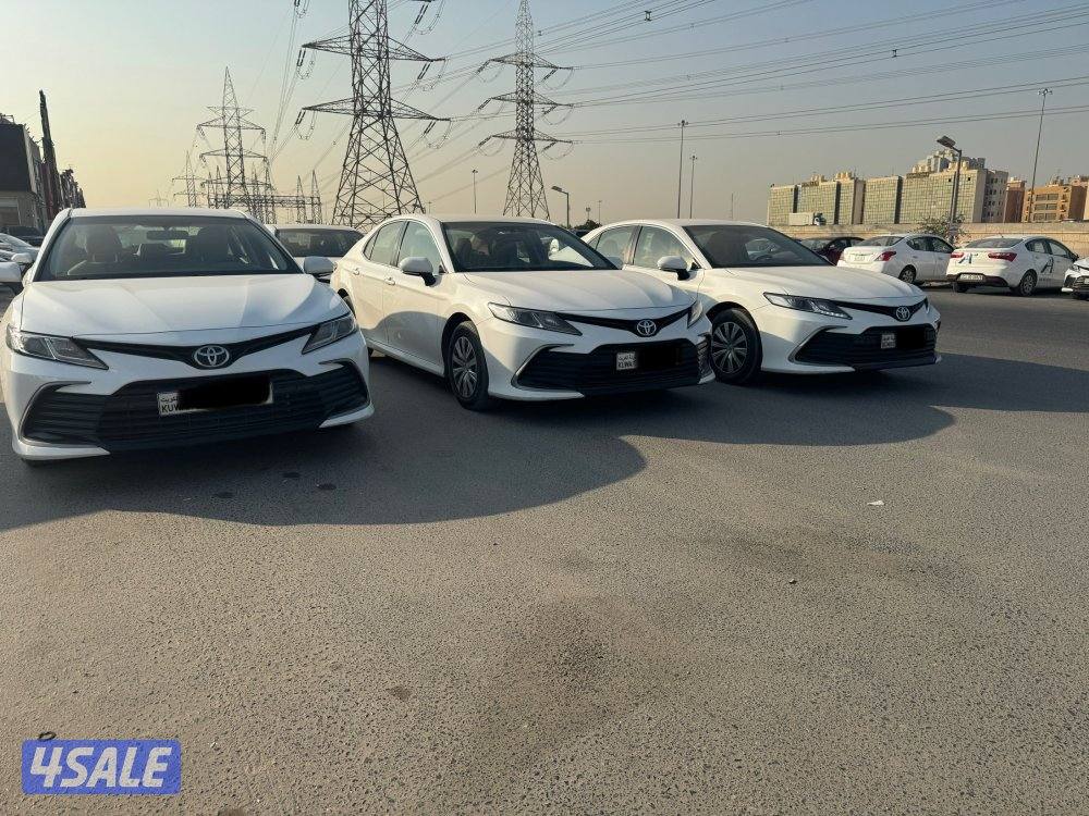 جملة ولا مفرد موديل 20222