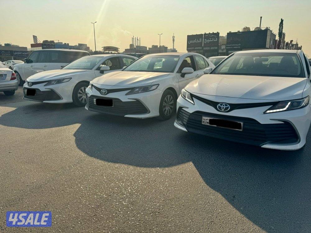 جملة ولا مفرد موديل 20221