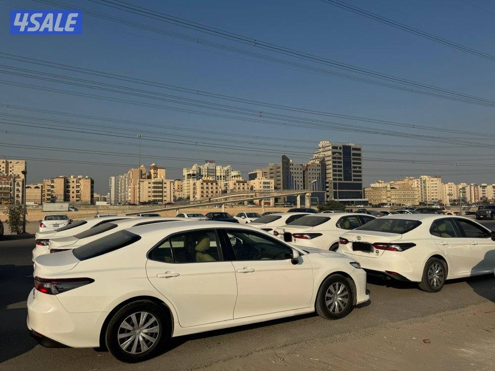 جملة ولا مفرد موديل 20223